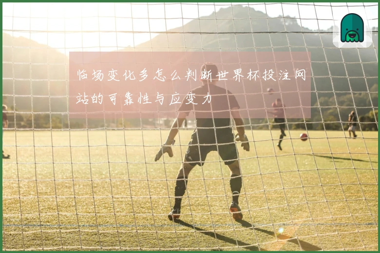 临场变化多怎么判断世界杯投注网站的可靠性与应变力