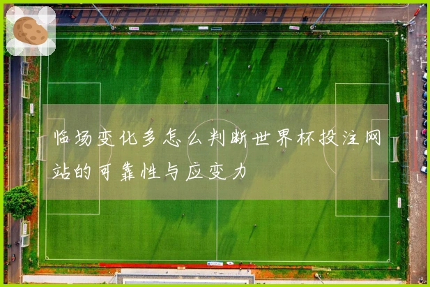 临场变化多怎么判断世界杯投注网站的可靠性与应变力