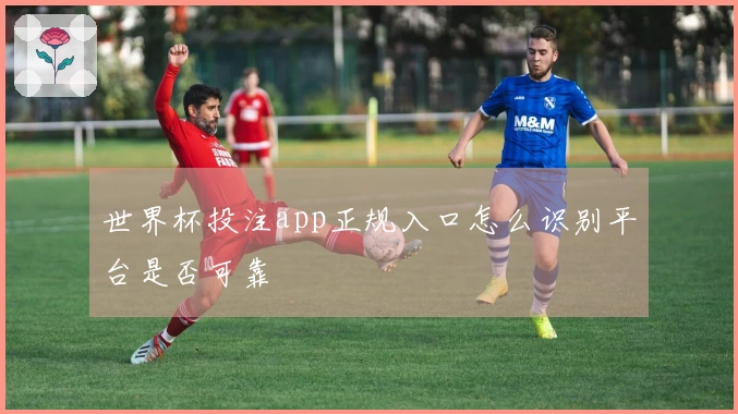 世界杯投注app正规入口怎么识别平台是否可靠